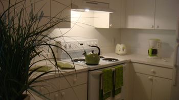 Stove in kitchen 